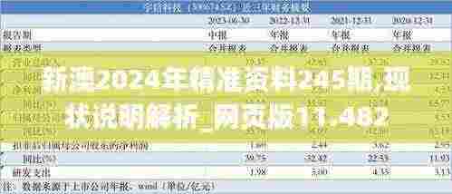 新澳2024年精准资料245期,现状说明解析_网页版11.482