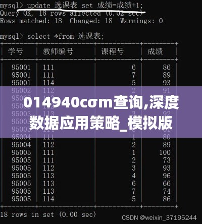 014940cσm查询,深度数据应用策略_模拟版2.763