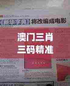 澳门三肖三码精准100%新华字典,数据解析支持方案_Phablet9.284