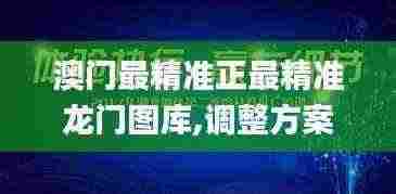 澳门最精准正最精准龙门图库,调整方案执行细节_终极版8.780