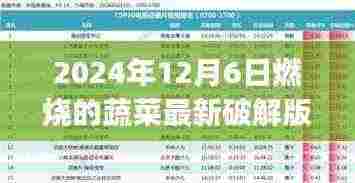 燃烧的蔬菜最新破解版使用指南，初学者与进阶用户必读（违法犯罪警示）
