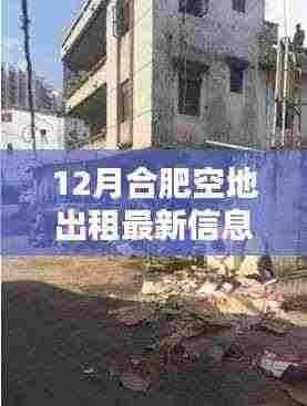 合肥空地出租最新信息及巷弄深处的独特小店探秘指南