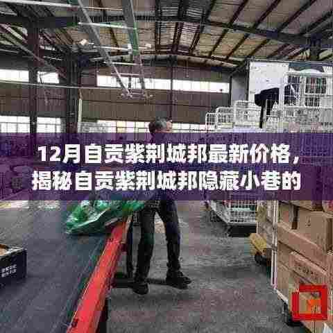 揭秘自贡紫荆城邦隐藏小巷的神秘小店，最新价格探秘之旅（自贡紫荆城邦房价更新）