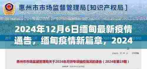 2024年12月6日缅甸疫情最新动态，新篇章的深度观察与记录
