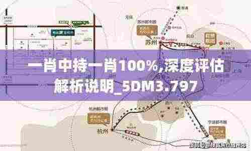 一肖中持一肖100%,深度评估解析说明_5DM3.797