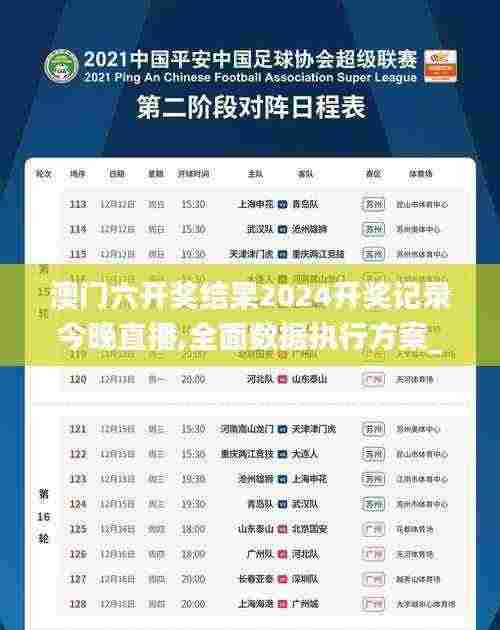 澳门六开奖结果2024开奖记录今晚直播,全面数据执行方案_Nexus7.345