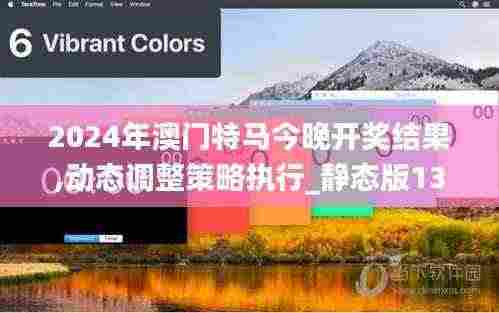 2024年澳门特马今晚开奖结果,动态调整策略执行_静态版13.413