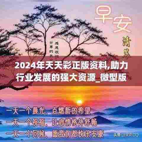 2024年天天彩正版资料,助力行业发展的强大资源_微型版9.635
