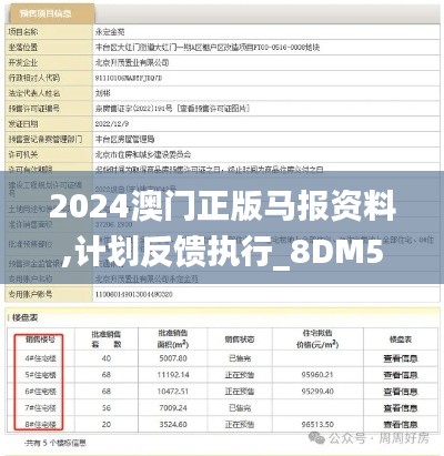 2024澳门正版马报资料,计划反馈执行_8DM5.423