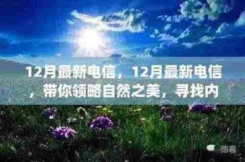 12月最新电信带你领略自然之美，开启宁静心灵之旅