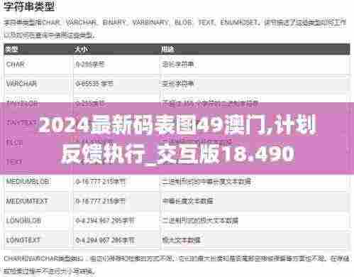 2024最新码表图49澳门,计划反馈执行_交互版18.490