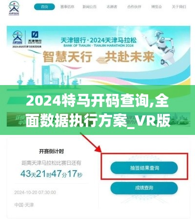 2024特马开码查询,全面数据执行方案_VR版9.936