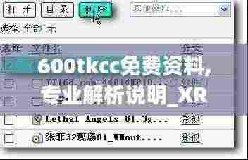 600tkcc免费资料,专业解析说明_XR10.138