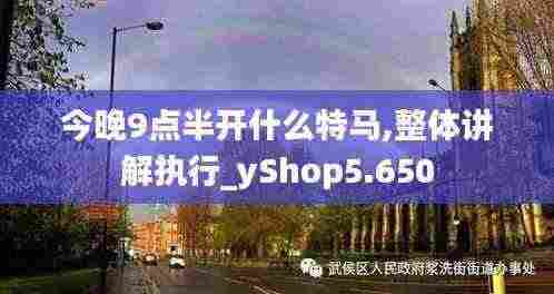 今晚9点半开什么特马,整体讲解执行_yShop5.650