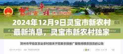 2024年12月9日灵宝市新农村最新动态与独家爆料