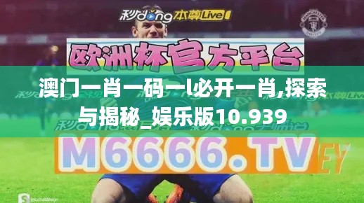 澳门一肖一码一l必开一肖,探索与揭秘_娱乐版10.939