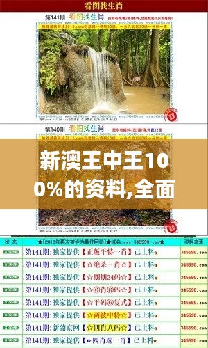 新澳王中王100%的资料,全面解读说明_苹果款15.267