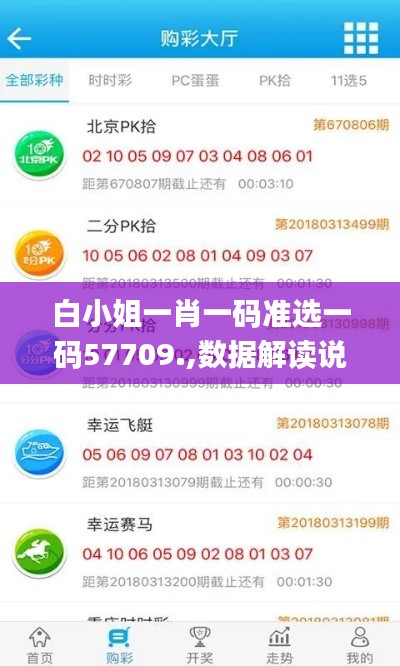 白小姐一肖一码准选一码57709.,数据解读说明_2DM7.903