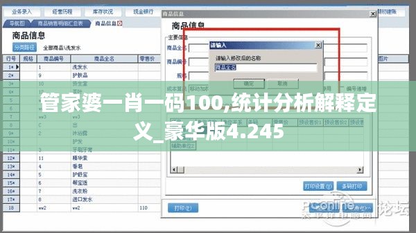 管家婆一肖一码100,统计分析解释定义_豪华版4.245