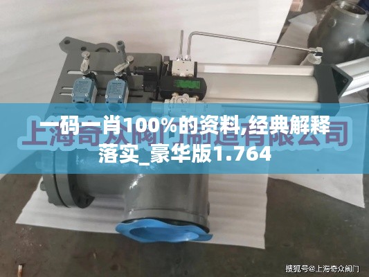 一码一肖100%的资料,经典解释落实_豪华版1.764