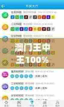 澳门王中王100%期期中,灵活操作方案设计_Kindle10.267