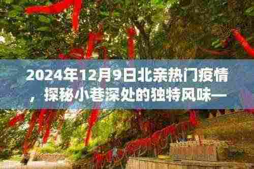 探秘疫情中的北亲小巷，独特风味与热门故事揭秘（2024年12月9日）
