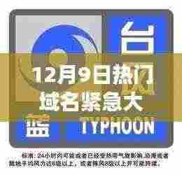 12月9日热门域名风云突变，你必须知道的重要信息