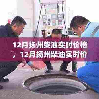 扬州柴油实时价格解析，市场走势分析与预测