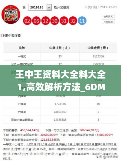 王中王资料大全料大全1,高效解析方法_6DM1.139