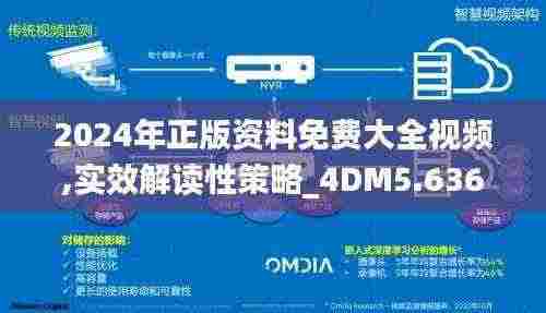 2024年正版资料免费大全视频,实效解读性策略_4DM5.636