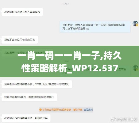 一肖一码一一肖一子,持久性策略解析_WP12.537