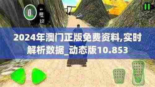 2024年澳门正版免费资料,实时解析数据_动态版10.853