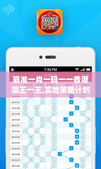 最准一肖一码一一香港澳王一王,实地策略计划验证_XT2.588