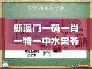 新澳门一码一肖一特一中水果爷爷,深入解答解释定义_开发版6.428