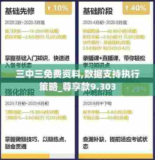 三中三免费资料,数据支持执行策略_尊享款9.303