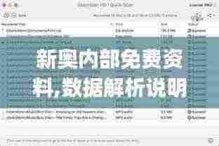 新奥内部免费资料,数据解析说明_精英款5.699
