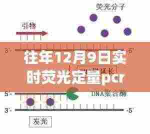 往年12月9日实时荧光定量PCR系统深度解析与应用展望，技术揭秘与展望发展