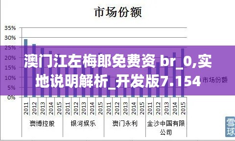 澳门江左梅郎免费资 br_0,实地说明解析_开发版7.154