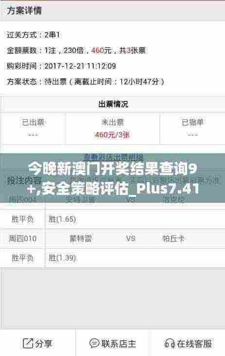 今晚新澳门开奖结果查询9+,安全策略评估_Plus7.414