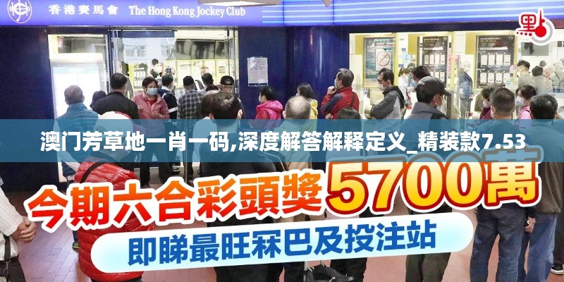 澳门芳草地一肖一码,深度解答解释定义_精装款7.530