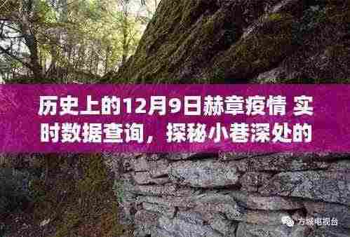历史上的十二月九日赫章疫情实时数据与小巷深处的特色小店探秘之旅
