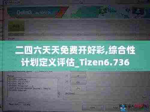 二四六天天免费开好彩,综合性计划定义评估_Tizen6.736