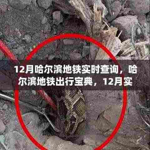 哈尔滨地铁出行宝典，12月实时查询全攻略