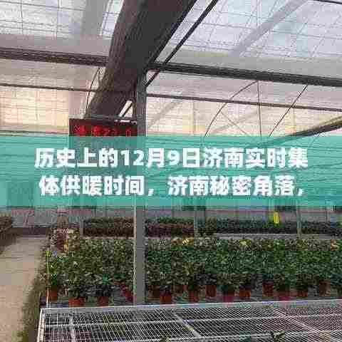 济南秘密角落，历史时刻下的集体供暖与小巷特色小店的奇妙邂逅