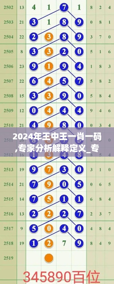 2024年王中王一肖一码,专家分析解释定义_专业款5.587