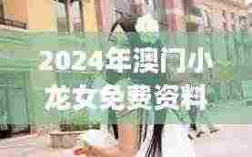 2024年澳门小龙女免费资料,具体操作步骤指导_桌面款1.360