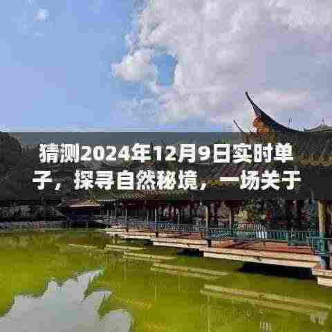 探寻自然秘境，心灵与自然的奇妙之旅，预测未来美好风景在2024年12月9日等你开启