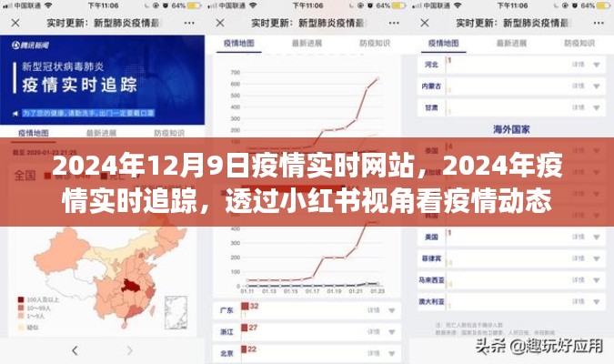 小红书视角，2024年疫情实时追踪与动态分析网站