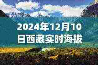 探秘西藏之巅，海拔之上的温情日常（实时海拔数据）