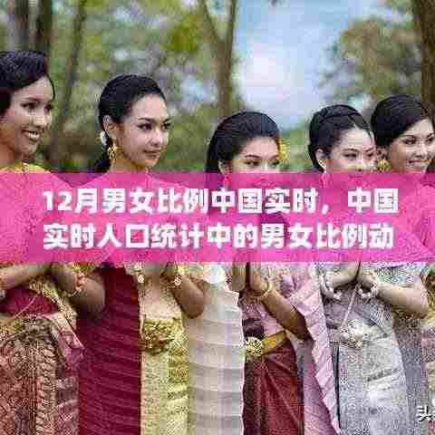中国实时人口统计中的男女比例动态分析，以十二月为例的实时报告